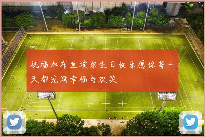 祝福加布里埃尔生日快乐愿你每一天都充满幸福与欢笑