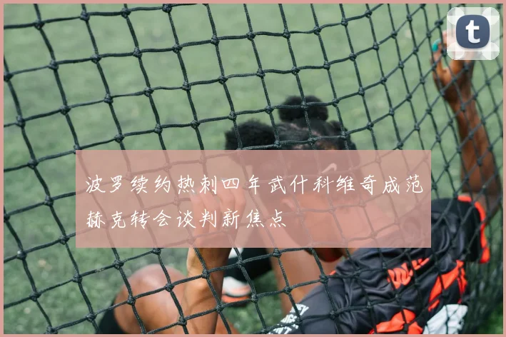 波罗续约热刺四年武什科维奇成范赫克转会谈判新焦点