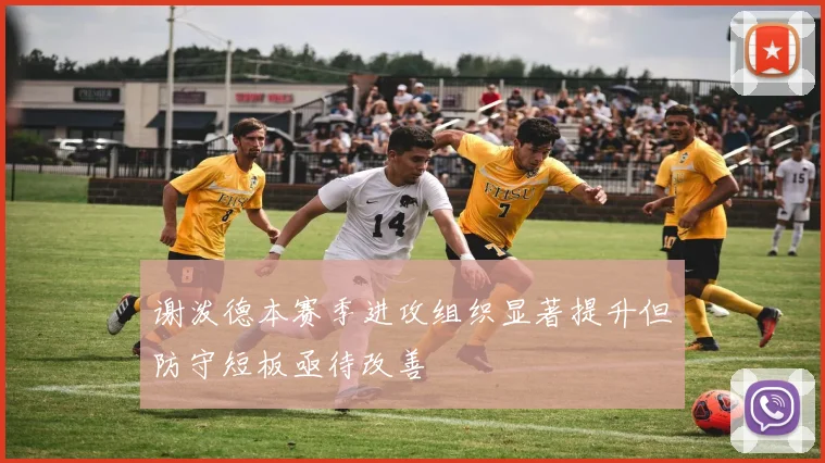 谢泼德本赛季进攻组织显著提升但防守短板亟待改善